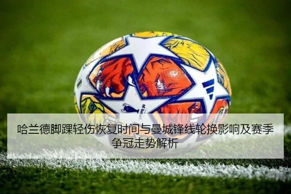img_1781386841036_2551_1_167.jpg