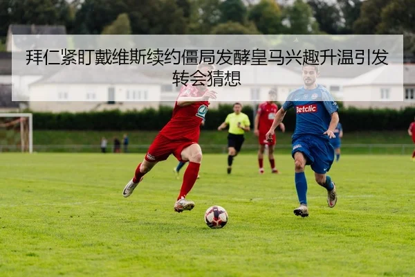 img_1781533515047_1_1_345.jpg