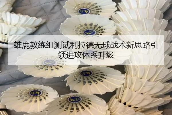雄鹿教练组测试利拉德无球战术新思路引领进攻体系升级