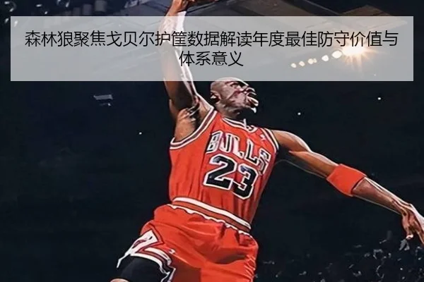 森林狼聚焦戈贝尔护筐数据解读年度最佳防守价值与体系意义