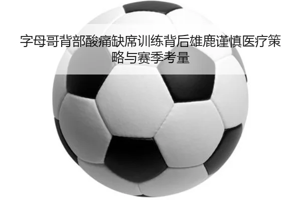 img_1785136629729_335_1_411.jpg